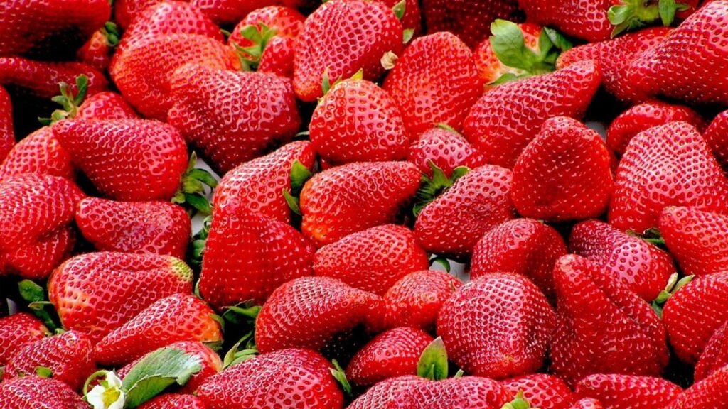 Alimentos altos en potasio gratis – guía práctica en PDF para cuidar tu alimentación